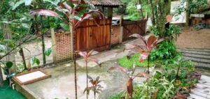 IMG_20190823_164445552