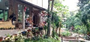 IMG_20190823_164534608_HDR